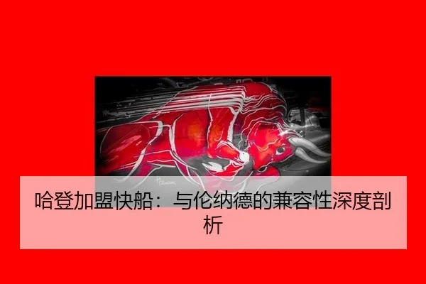 哈登加盟快船：与伦纳德的兼容性深度剖析